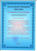 Благодарственное письмо БПОУ "Омский областной колледж культуры и искусства", г.Омск, 2017
