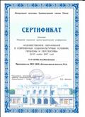 Сертификат участника Открытой городской научно-практической конференции "Художественное образование в современных социокультурных условиях: проблемы и перспективы", г. Омск, 2007